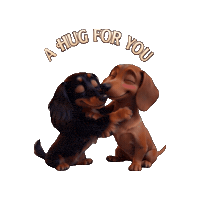 Dachshund Hug Sticker