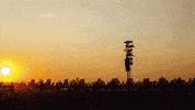 loop festival GIF by Pukkelpop
