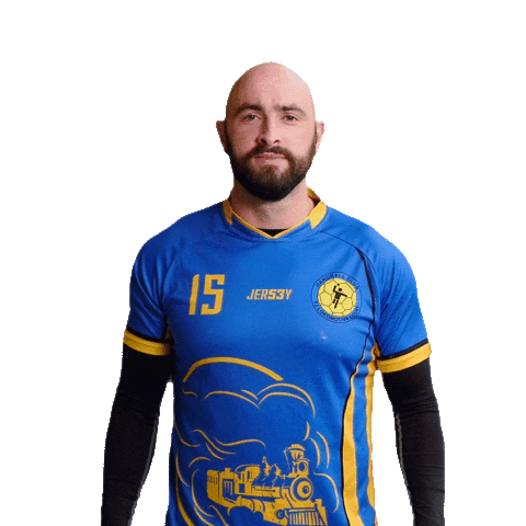 Handball Celebrate Sticker by Házená Louny