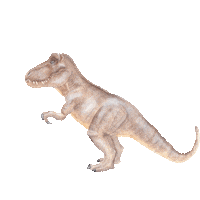 Dinosaur Sticker by Little Rae Prints