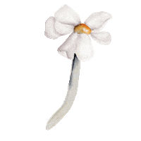 Flower Spring Sticker by Little Rae Prints