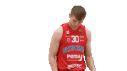 Basketball Hoops Sticker by Basket_fi