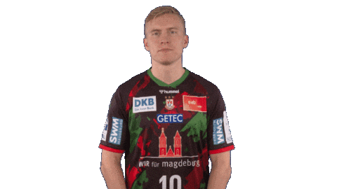 Sc Magdeburg Love Sticker by DAIKIN HBL