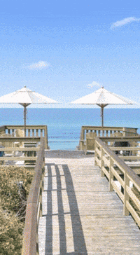 Lal Maggies GIF by The Magdalen House