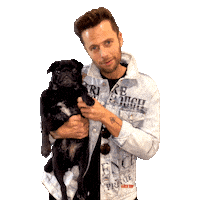 Say Hi Dog Sticker by Marcel Walz