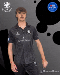 Sun Ball GIF by Somerset County Cricket Club