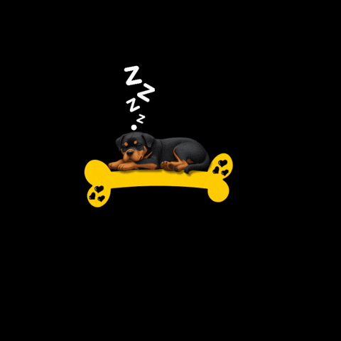 thaylerzeus  GIF