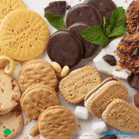 GIF by Little Brownie Bakers