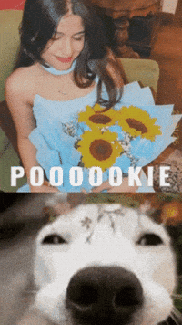 ohh_yogesh meme birthday bouquet ohhyogesh GIF