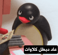 Iraq Omg GIF