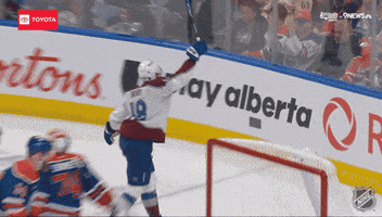 Happy National Hockey League GIF by NHL