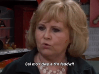 carwpiws cymraeg s4c diane teledu GIF