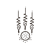 Life Universe Sticker