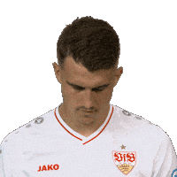Line Up Smile Sticker by Bundesliga