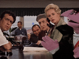 Sesame Street Count GIF by Bell Brothers