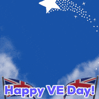 Lest We Forget Victory GIF by TeaCosyFolk