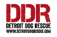 Ddr Sticker by Detroit Dog Rescue