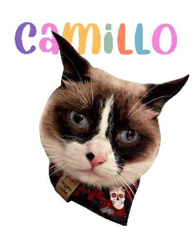 Cat Camillo Sticker