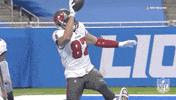 Regular Season Football GIF by NFL