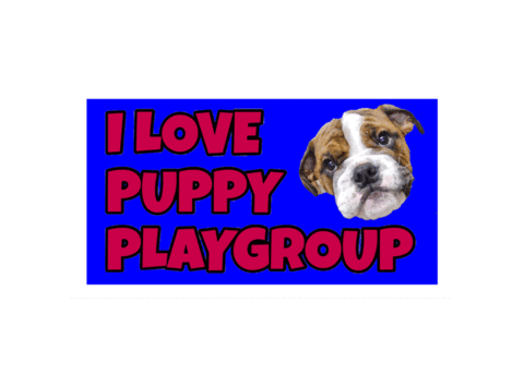 Puppy Bulldog Sticker
