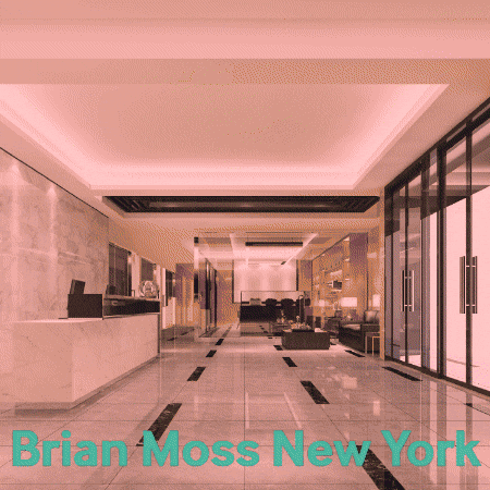 brianmossny giphygifmaker GIF