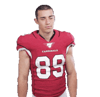 Arizona Cardinals No Sticker by NFL