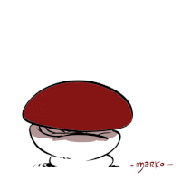 GIF by marko