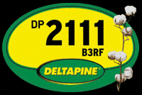 Deltapine GIF by Bollgard