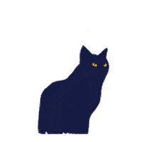 capitone cat no gato nao Sticker