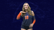 Cnvb GIF by Carson-Newman Athletics