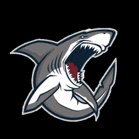 Fejece GIF by Proativa Jr