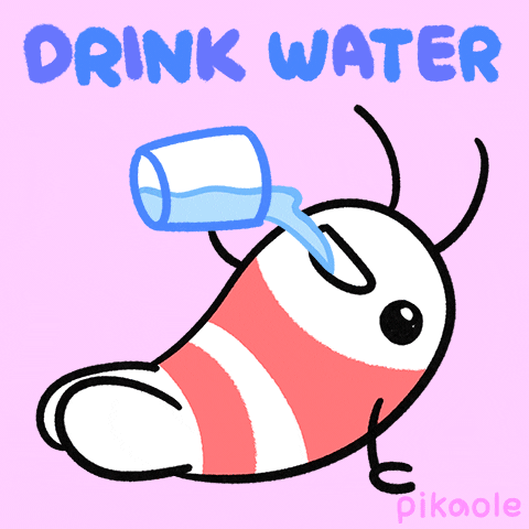 Stay Hydrated Drink Water GIF by pikaole