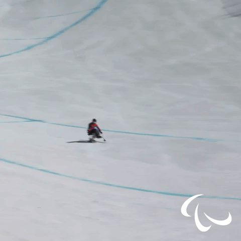 Wipe Out