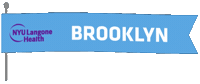 Flag Brooklyn Sticker by NYU Langone Health