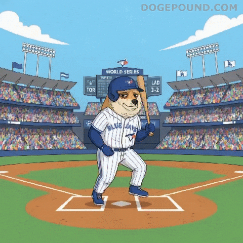 Lets Go Baseball GIF by Doge Pound