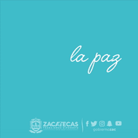 GIF by gobiernozac
