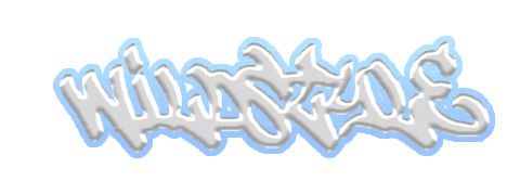 Street Art Party Sticker