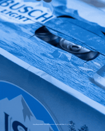 Happy Hour Cheers GIF by Busch Beer