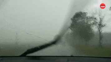 Mary Anderson Girl Power GIF by BuzzFeed