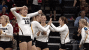 Iowa Hawkeyes Volleyball GIF by University of Iowa Hawkeyes Athletics