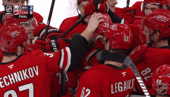 Carolina Hurricanes Fun GIF by NHL
