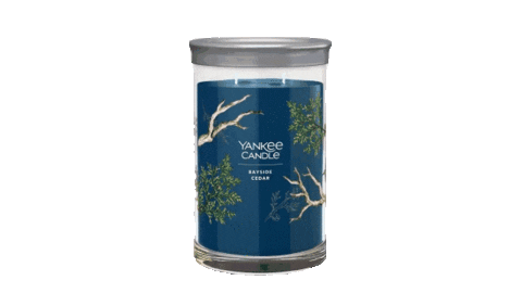 Candle Fragrance Sticker by YankeeCandle