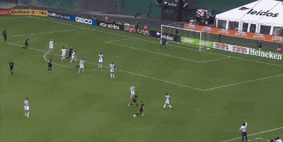 soccer mls GIF by D.C. United