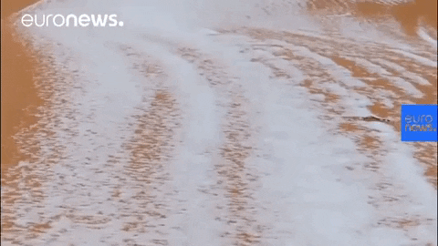 snow desert GIF by euronews