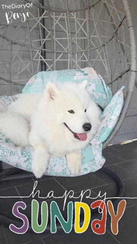 Happy Weekend GIF