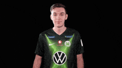 E Sports Sport GIF by VfL Wolfsburg