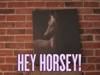 Hey Horsey