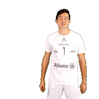 Volleyball Sticker by SWD Powervolleys Düren