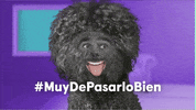 Raul Gomez Cero GIF by Movistar+