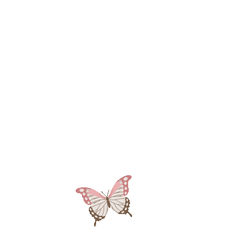 Butterfly Sticker by Kyte BABY
